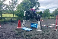 A horse jumping