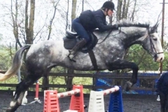 A horse jump training