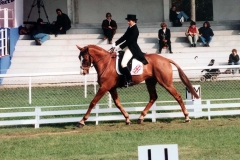 Fiona Stuart dressage