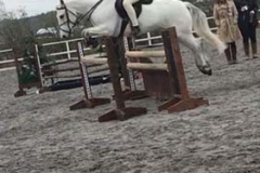 Jumping-horse