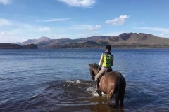 A horse and rider  in Loch Lomond