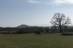 Tullochan-farm-field