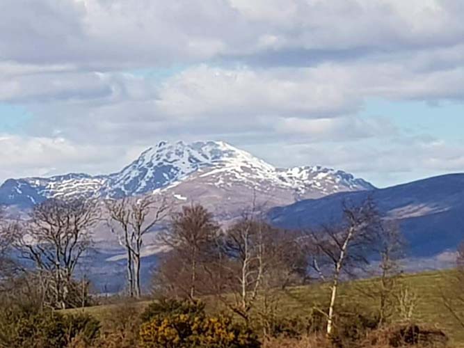 View of Ben Lomond from Tullochan Stables