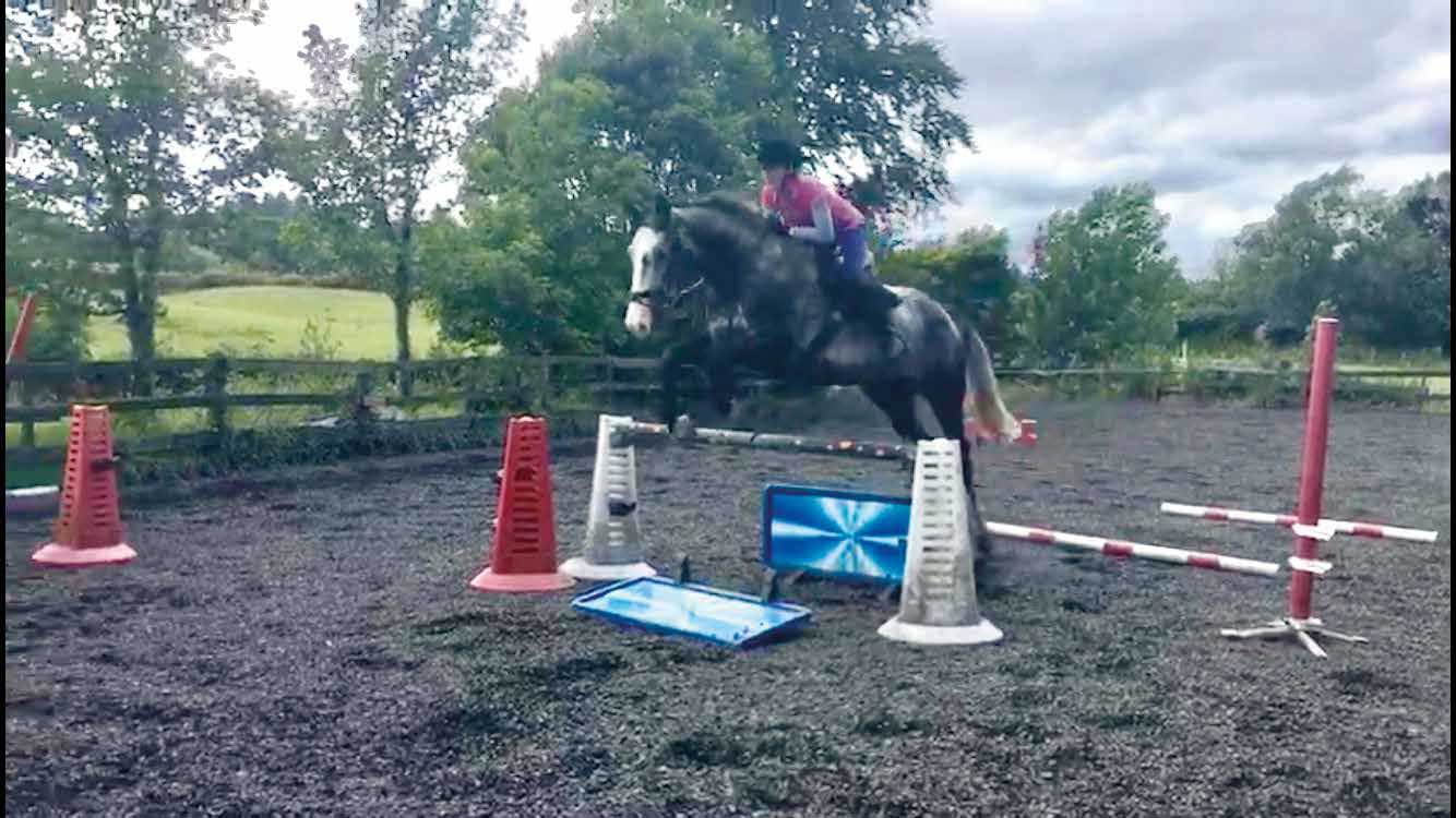 A horse jumping in the arena at Tullochan Stables