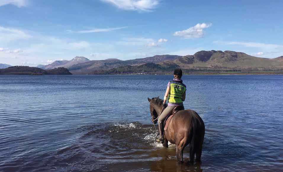 A horse and rider paddling in Loch Lomond