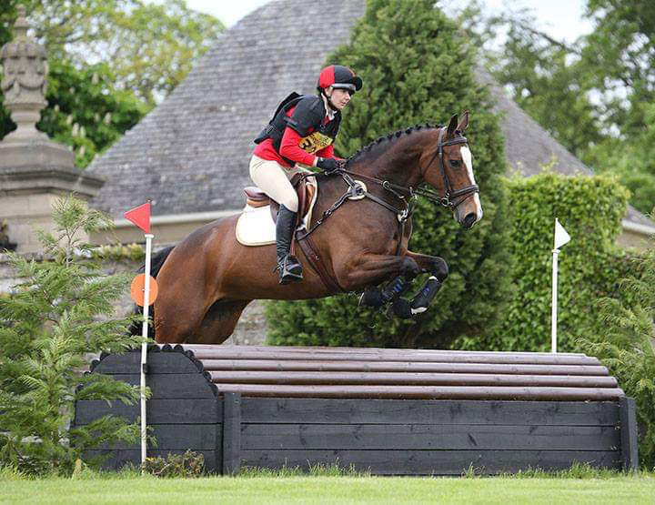 A horse and rider eventing