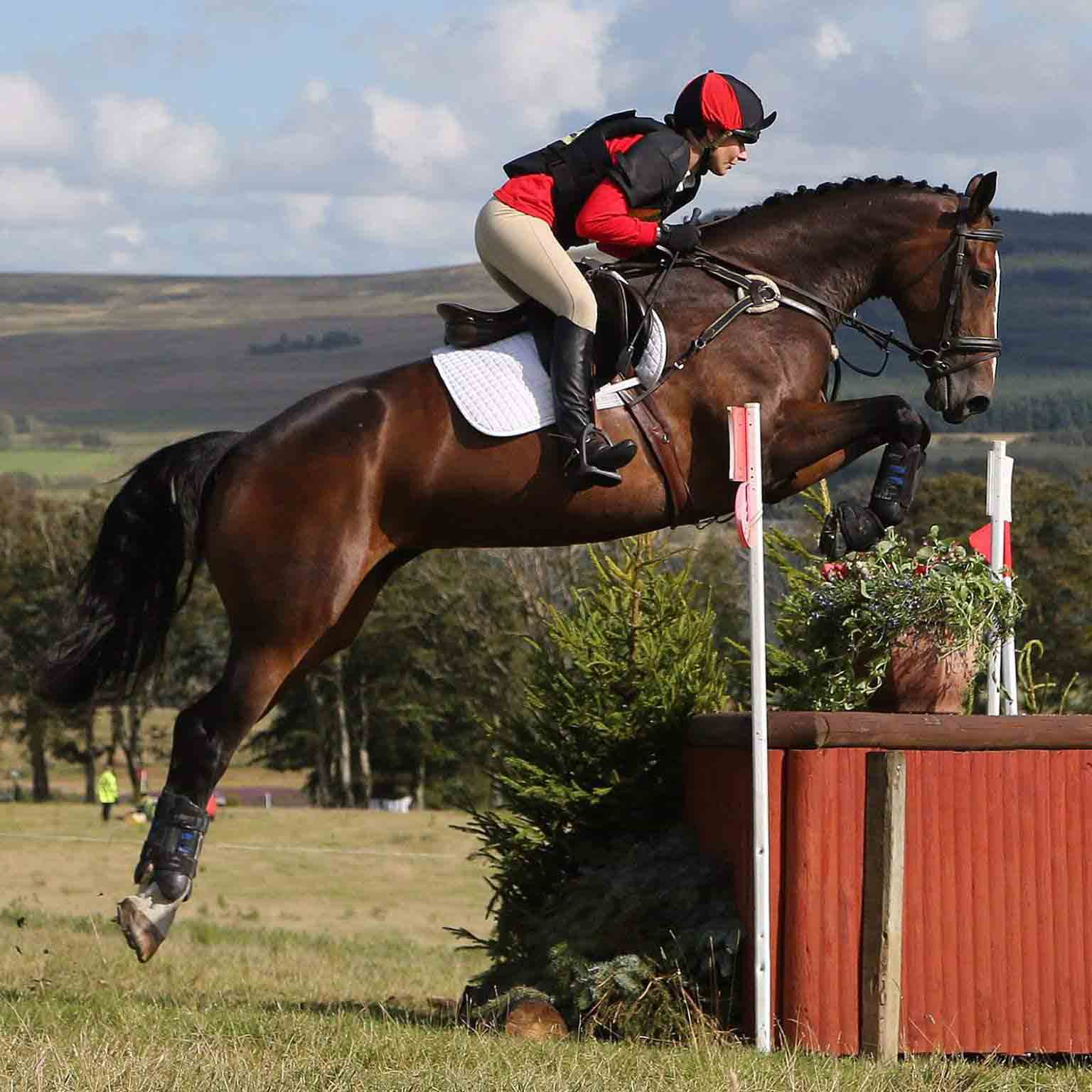 A horse and rider jumping a cross country fence