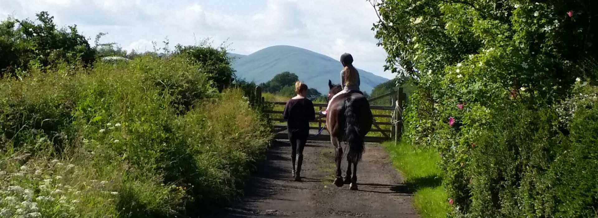 A horse and rider and a person walking up a country lane at Tullochan stable by Loch Lomond