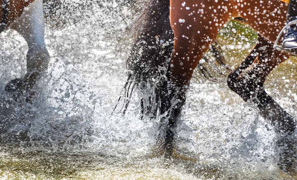 Horses feet splashing through water.